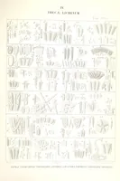 Picture 42 of 43 from Essai sur les cryptogames des écorces exotiques officinales (1824), leaf 561