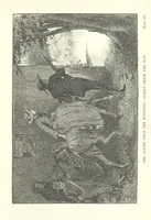 An illustration from The Golden Magnet: a tale of the Land of the Incas, etc (1884)