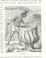 Picture 13 of 15 from The Golden Magnet: a tale of the Land of the Incas, etc (1884), leaf 413
