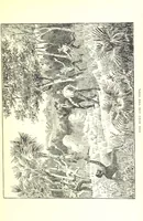 An illustration from The Experiences of a Forty-niner during thirty-four years residence in California and Australia ... Edited by Frederick T. Wallace (1888)