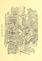 An illustration from The Experiences of a Forty-niner during thirty-four years residence in California and Australia ... Edited by Frederick T. Wallace (1888)