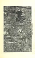 An illustration from The Experiences of a Forty-niner during thirty-four years residence in California and Australia ... Edited by Frederick T. Wallace (1888)
