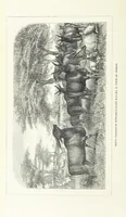 An illustration from Nuevo Viajero Universal, enciclopedia de viajes modernos, recopilacion de las obras mas notables sobre descubrimientos, exploraciones y aventuras, publicada por los mas célebres viajeros del siglo XIX. ... adornada con profusion de mapas, láminas sueltas y grabados, etc (1859)