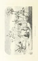 An illustration from Nuevo Viajero Universal, enciclopedia de viajes modernos, recopilacion de las obras mas notables sobre descubrimientos, exploraciones y aventuras, publicada por los mas célebres viajeros del siglo XIX. ... adornada con profusion de mapas, láminas sueltas y grabados, etc (1859)