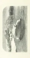 An illustration from Nuevo Viajero Universal, enciclopedia de viajes modernos, recopilacion de las obras mas notables sobre descubrimientos, exploraciones y aventuras, publicada por los mas célebres viajeros del siglo XIX. ... adornada con profusion de mapas, láminas sueltas y grabados, etc (1859)