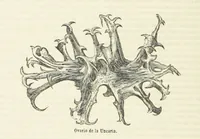 An illustration from Nuevo Viajero Universal, enciclopedia de viajes modernos, recopilacion de las obras mas notables sobre descubrimientos, exploraciones y aventuras, publicada por los mas célebres viajeros del siglo XIX. ... adornada con profusion de mapas, láminas sueltas y grabados, etc (1859)