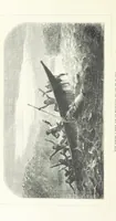 An illustration from Nuevo Viajero Universal, enciclopedia de viajes modernos, recopilacion de las obras mas notables sobre descubrimientos, exploraciones y aventuras, publicada por los mas célebres viajeros del siglo XIX. ... adornada con profusion de mapas, láminas sueltas y grabados, etc (1859)