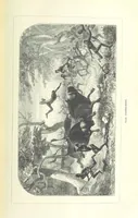 An illustration from Nuevo Viajero Universal, enciclopedia de viajes modernos, recopilacion de las obras mas notables sobre descubrimientos, exploraciones y aventuras, publicada por los mas célebres viajeros del siglo XIX. ... adornada con profusion de mapas, láminas sueltas y grabados, etc (1859)