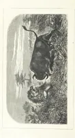 An illustration from Nuevo Viajero Universal, enciclopedia de viajes modernos, recopilacion de las obras mas notables sobre descubrimientos, exploraciones y aventuras, publicada por los mas célebres viajeros del siglo XIX. ... adornada con profusion de mapas, láminas sueltas y grabados, etc (1859)