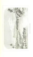 An illustration from Nuevo Viajero Universal, enciclopedia de viajes modernos, recopilacion de las obras mas notables sobre descubrimientos, exploraciones y aventuras, publicada por los mas célebres viajeros del siglo XIX. ... adornada con profusion de mapas, láminas sueltas y grabados, etc (1859)