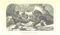 An illustration from Nuevo Viajero Universal, enciclopedia de viajes modernos, recopilacion de las obras mas notables sobre descubrimientos, exploraciones y aventuras, publicada por los mas célebres viajeros del siglo XIX. ... adornada con profusion de mapas, láminas sueltas y grabados, etc (1859)