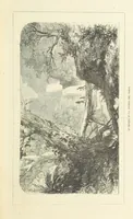An illustration from Nuevo Viajero Universal, enciclopedia de viajes modernos, recopilacion de las obras mas notables sobre descubrimientos, exploraciones y aventuras, publicada por los mas célebres viajeros del siglo XIX. ... adornada con profusion de mapas, láminas sueltas y grabados, etc (1859)