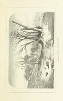 An illustration from Nuevo Viajero Universal, enciclopedia de viajes modernos, recopilacion de las obras mas notables sobre descubrimientos, exploraciones y aventuras, publicada por los mas célebres viajeros del siglo XIX. ... adornada con profusion de mapas, láminas sueltas y grabados, etc (1859)