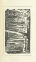 An illustration from Nuevo Viajero Universal, enciclopedia de viajes modernos, recopilacion de las obras mas notables sobre descubrimientos, exploraciones y aventuras, publicada por los mas célebres viajeros del siglo XIX. ... adornada con profusion de mapas, láminas sueltas y grabados, etc (1859)