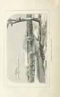An illustration from Nuevo Viajero Universal, enciclopedia de viajes modernos, recopilacion de las obras mas notables sobre descubrimientos, exploraciones y aventuras, publicada por los mas célebres viajeros del siglo XIX. ... adornada con profusion de mapas, láminas sueltas y grabados, etc (1859)