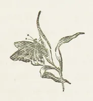 An illustration from In Glenoran. [A Novel (1888)