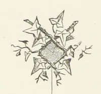Picture 4 of 15 from In Glenoran. [A Novel (1888), leaf 68