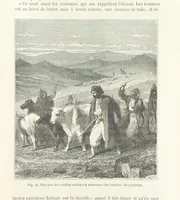 Picture 57 of 334 from Les Races Humaines ... Ouvrage illustré de 334 gravures dessinées sur bois, et de 8 chromo-lithographies, etc (1872), leaf 155