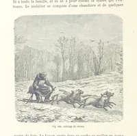 Picture 103 of 334 from Les Races Humaines ... Ouvrage illustré de 334 gravures dessinées sur bois, et de 8 chromo-lithographies, etc (1872), leaf 246