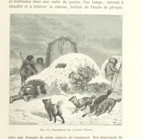 Picture 107 of 334 from Les Races Humaines ... Ouvrage illustré de 334 gravures dessinées sur bois, et de 8 chromo-lithographies, etc (1872), leaf 251