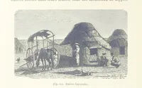 Picture 112 of 334 from Les Races Humaines ... Ouvrage illustré de 334 gravures dessinées sur bois, et de 8 chromo-lithographies, etc (1872), leaf 258