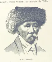 Picture 114 of 334 from Les Races Humaines ... Ouvrage illustré de 334 gravures dessinées sur bois, et de 8 chromo-lithographies, etc (1872), leaf 260