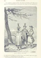 Picture 120 of 334 from Les Races Humaines ... Ouvrage illustré de 334 gravures dessinées sur bois, et de 8 chromo-lithographies, etc (1872), leaf 270