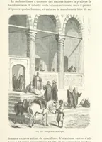 Picture 138 of 334 from Les Races Humaines ... Ouvrage illustré de 334 gravures dessinées sur bois, et de 8 chromo-lithographies, etc (1872), leaf 301