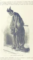 Picture 177 of 334 from Les Races Humaines ... Ouvrage illustré de 334 gravures dessinées sur bois, et de 8 chromo-lithographies, etc (1872), leaf 368