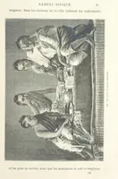 Picture 191 of 334 from Les Races Humaines ... Ouvrage illustré de 334 gravures dessinées sur bois, et de 8 chromo-lithographies, etc (1872), leaf 387