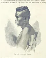 Picture 192 of 334 from Les Races Humaines ... Ouvrage illustré de 334 gravures dessinées sur bois, et de 8 chromo-lithographies, etc (1872), leaf 388