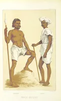 Picture 195 of 334 from Les Races Humaines ... Ouvrage illustré de 334 gravures dessinées sur bois, et de 8 chromo-lithographies, etc (1872), leaf 396