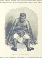 Picture 219 of 334 from Les Races Humaines ... Ouvrage illustré de 334 gravures dessinées sur bois, et de 8 chromo-lithographies, etc (1872), leaf 428