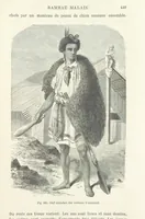 Picture 235 of 334 from Les Races Humaines ... Ouvrage illustré de 334 gravures dessinées sur bois, et de 8 chromo-lithographies, etc (1872), leaf 459