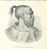 Picture 238 of 334 from Les Races Humaines ... Ouvrage illustré de 334 gravures dessinées sur bois, et de 8 chromo-lithographies, etc (1872), leaf 468