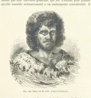 Picture 239 of 334 from Les Races Humaines ... Ouvrage illustré de 334 gravures dessinées sur bois, et de 8 chromo-lithographies, etc (1872), leaf 473