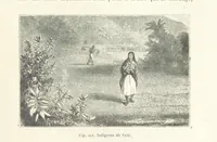 Picture 240 of 334 from Les Races Humaines ... Ouvrage illustré de 334 gravures dessinées sur bois, et de 8 chromo-lithographies, etc (1872), leaf 475