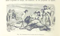 Picture 253 of 334 from Les Races Humaines ... Ouvrage illustré de 334 gravures dessinées sur bois, et de 8 chromo-lithographies, etc (1872), leaf 508