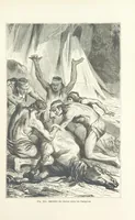 Picture 254 of 334 from Les Races Humaines ... Ouvrage illustré de 334 gravures dessinées sur bois, et de 8 chromo-lithographies, etc (1872), leaf 509