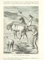 Picture 255 of 334 from Les Races Humaines ... Ouvrage illustré de 334 gravures dessinées sur bois, et de 8 chromo-lithographies, etc (1872), leaf 511