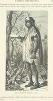 Picture 261 of 334 from Les Races Humaines ... Ouvrage illustré de 334 gravures dessinées sur bois, et de 8 chromo-lithographies, etc (1872), leaf 527
