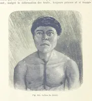 Picture 262 of 334 from Les Races Humaines ... Ouvrage illustré de 334 gravures dessinées sur bois, et de 8 chromo-lithographies, etc (1872), leaf 528