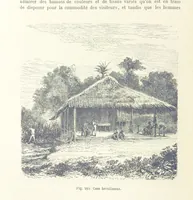 Picture 265 of 334 from Les Races Humaines ... Ouvrage illustré de 334 gravures dessinées sur bois, et de 8 chromo-lithographies, etc (1872), leaf 532