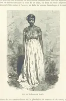 Picture 266 of 334 from Les Races Humaines ... Ouvrage illustré de 334 gravures dessinées sur bois, et de 8 chromo-lithographies, etc (1872), leaf 533