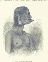 Picture 268 of 334 from Les Races Humaines ... Ouvrage illustré de 334 gravures dessinées sur bois, et de 8 chromo-lithographies, etc (1872), leaf 536