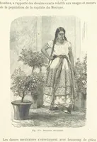 Picture 274 of 334 from Les Races Humaines ... Ouvrage illustré de 334 gravures dessinées sur bois, et de 8 chromo-lithographies, etc (1872), leaf 543