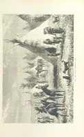 Picture 284 of 334 from Les Races Humaines ... Ouvrage illustré de 334 gravures dessinées sur bois, et de 8 chromo-lithographies, etc (1872), leaf 559