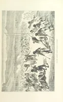 Picture 294 of 334 from Les Races Humaines ... Ouvrage illustré de 334 gravures dessinées sur bois, et de 8 chromo-lithographies, etc (1872), leaf 579