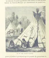 Picture 296 of 334 from Les Races Humaines ... Ouvrage illustré de 334 gravures dessinées sur bois, et de 8 chromo-lithographies, etc (1872), leaf 582