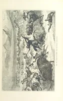 Picture 297 of 334 from Les Races Humaines ... Ouvrage illustré de 334 gravures dessinées sur bois, et de 8 chromo-lithographies, etc (1872), leaf 583
